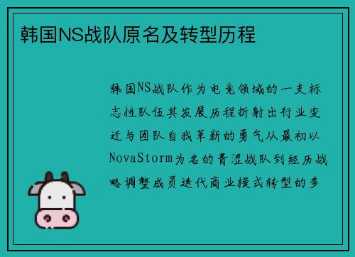 韩国NS战队原名及转型历程